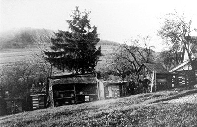 Bienenstcke in der Wiesenstrae