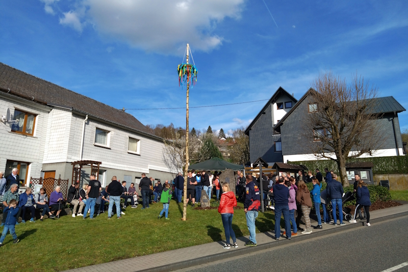 Der Maibaum wird aufgestellt